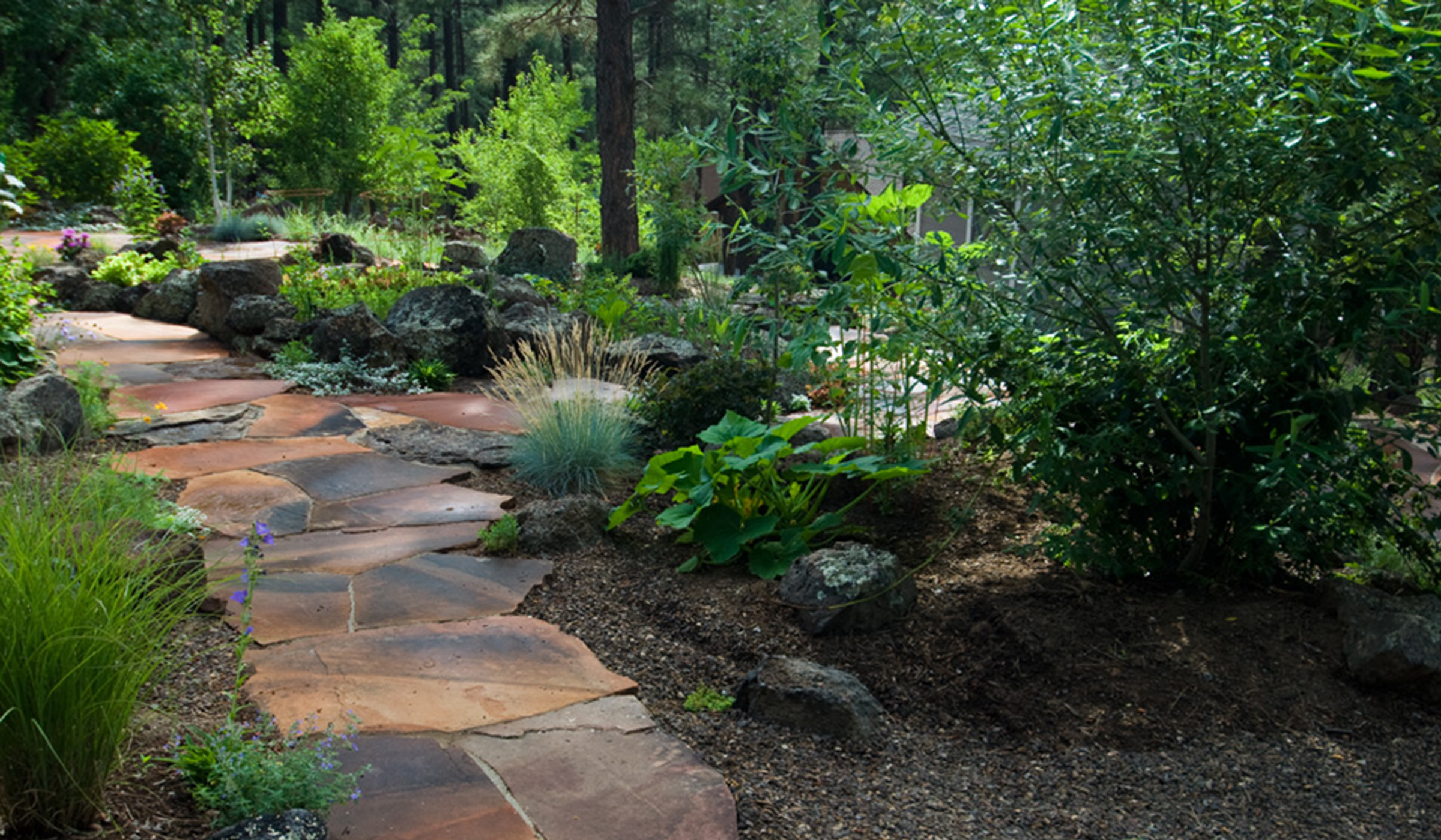 kaibab landscaping flagstaff kaibab landscaping kaibab landscaping flagstaff kaibab landscaping