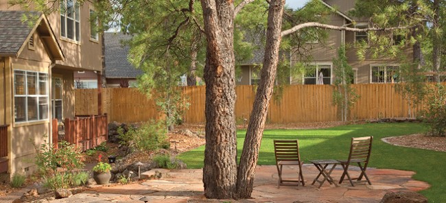 Flagstaff Landscaping - Back Yard