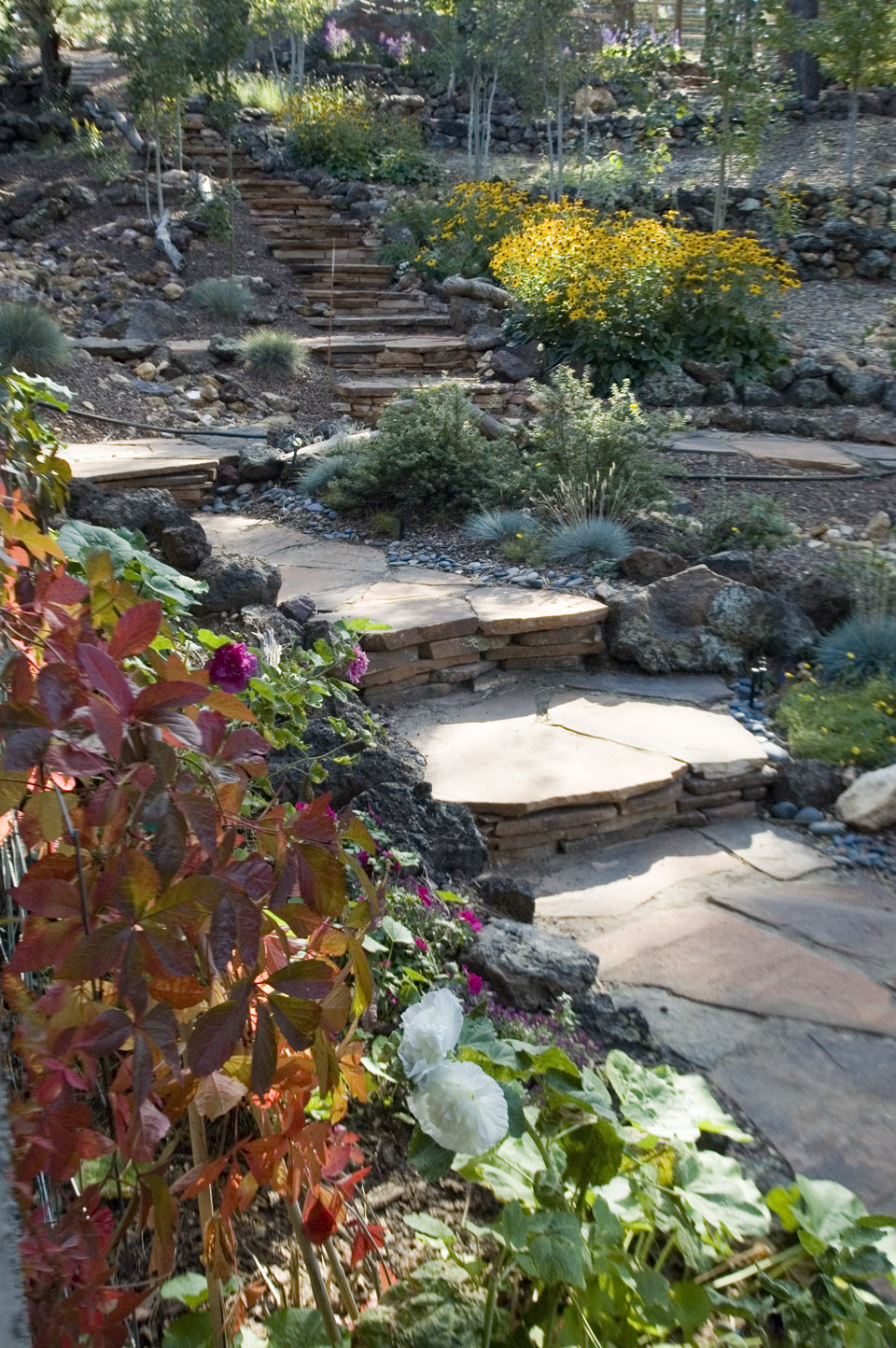 Landscape Design Kaibab Landscaping Flagstaff Landscaping Company